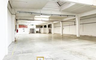 Hala industriala 675 mp, Arad central, acces TIR ideal depozit logitic - Poză 8