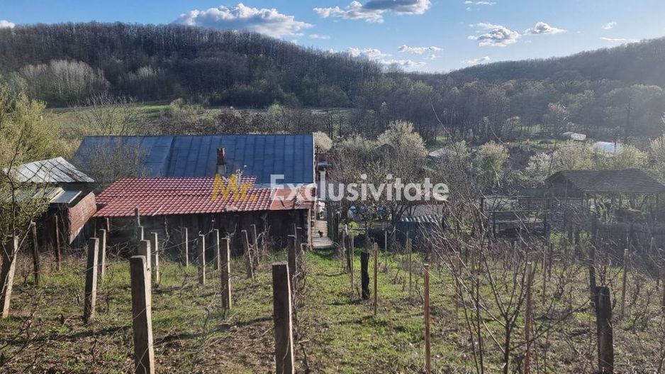 Casă P+M cu 1.558 mp teren, livadă și garaj - Poză 18