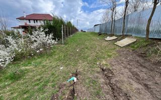 Terenuri de vânzare – Investiție cu potențial în Daia Nouă! - Poză 4