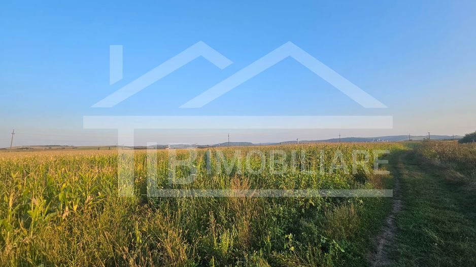 Teren intravilan, 1476 mp, Zona Ungheni - Poză 1