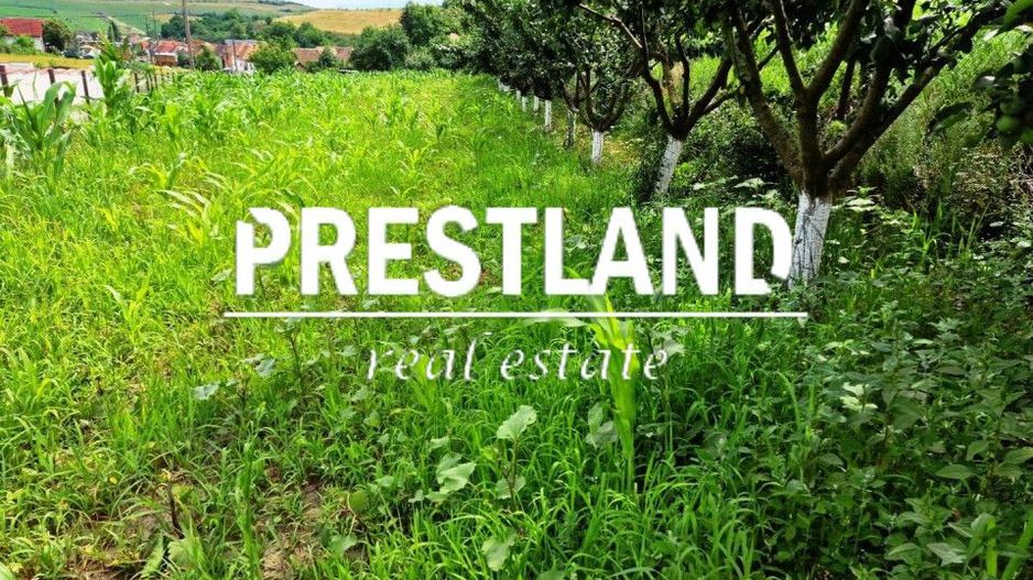 Teren intravilan construcții in Șura Mare. - Poză 2