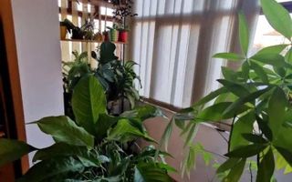 Apartament 3 camere, Zona Dambovita - Poză 2