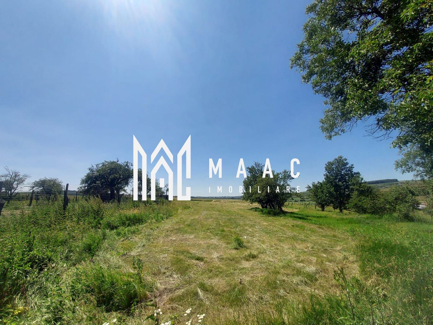 Casa 3 camere | 2225 MP Teren | Ticusu Nou | - Poză 15