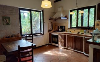 Vila mediteraneană cu farmec neo-românesc, în liniștea eleganta din Iancu Nicola - Poză 7