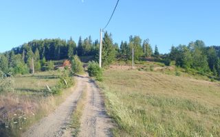 Teren pretabil constructie cabane in Garda de Sus - Poză 1