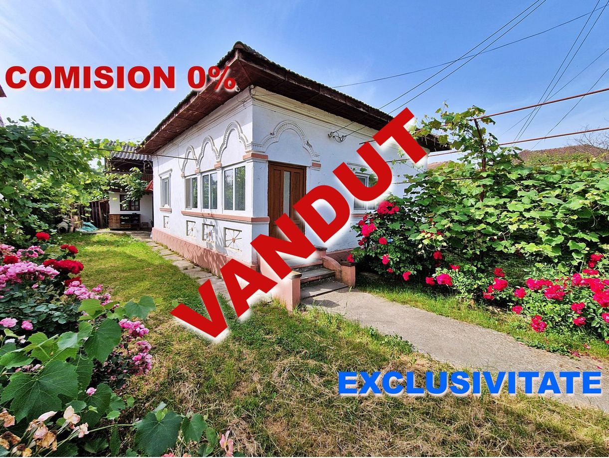 AZURA Imobiliare - Casa Merisani zona Primarie, Panouri fotovoltaice - Poză 1