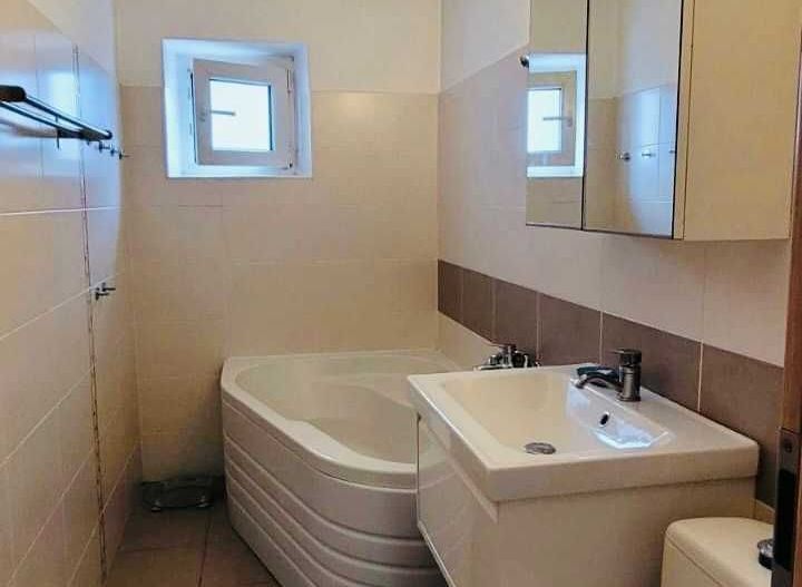 Inchiriere 3 camere Nerva Traian - Octavian Goga - Poză 8