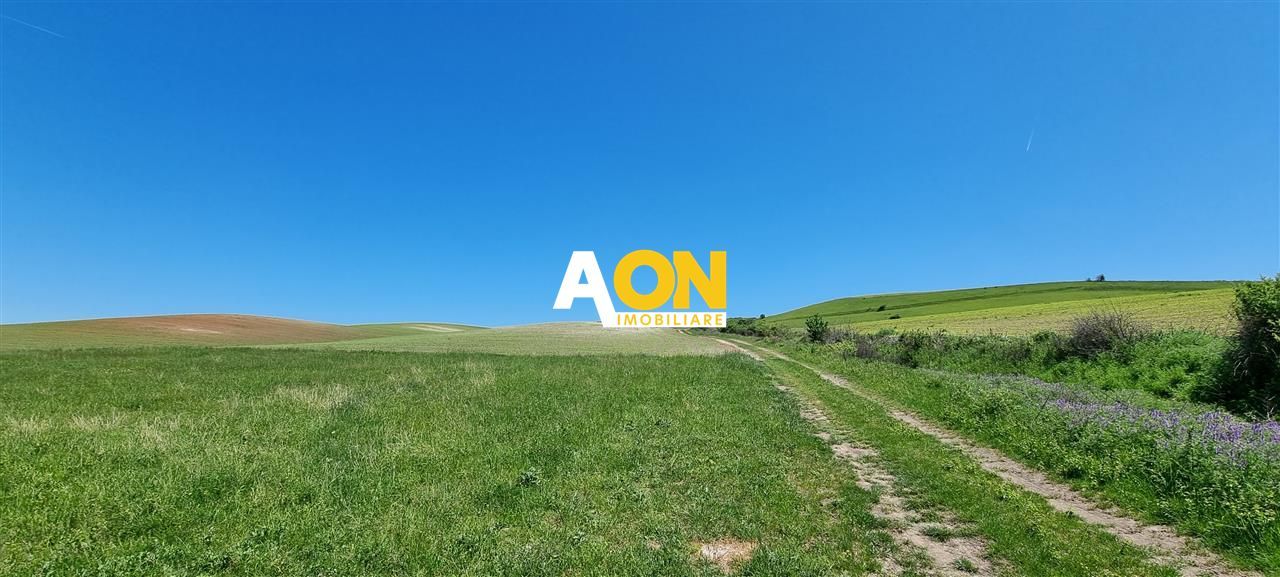 Teren de vanzare Alba Iulia Oarda de Sus - Poză 2