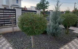 Casa premium cu piscina, panouri solare si teren de 520 mp – Giarmata Vii - Poză 36