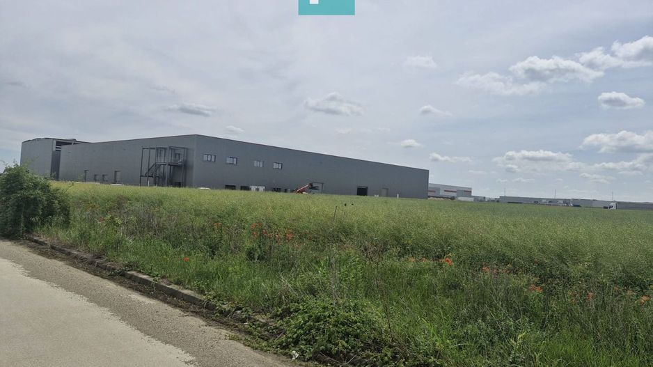 Teren industrial Giarmata | Logistică & Producție - Poză 4