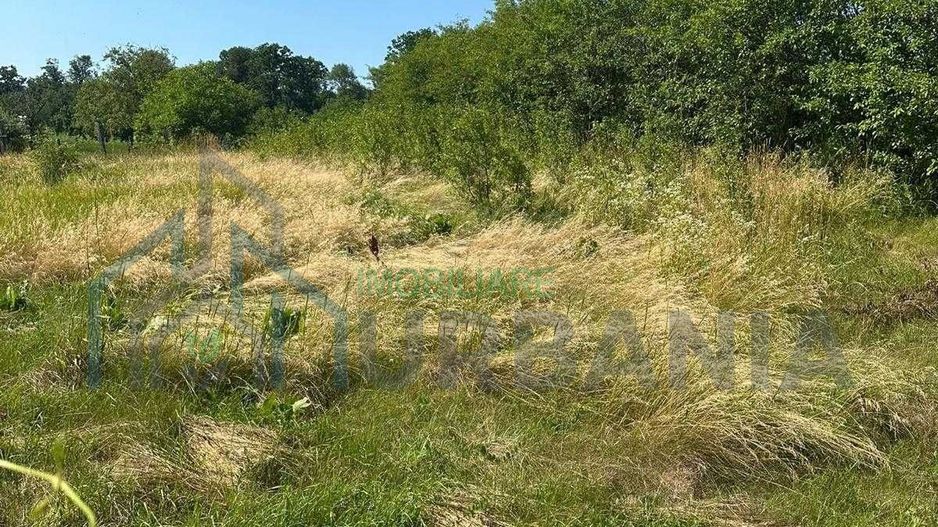 Casă tradițională cu anexă, beci și teren de 5700 mp, deschidere la drum principal, învecinată cu pădurea Bârnova, localitatea Pădureni, com. Grajduri, la 19 km de Iași - Poză 6
