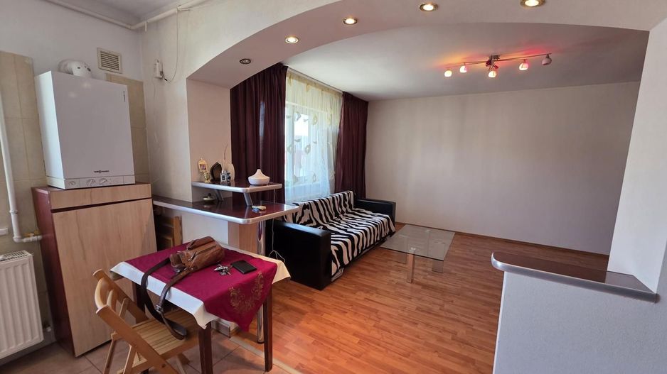 Garsonieră spațioasă Ozana, parcare, centrală proprie, balcon, pet friendly - Poză 2