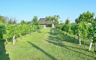 Casa cu piscina de vanzare | 3.300 mp teren | Urlati - Prahova - Poză 21