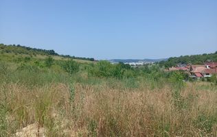 Teren de vanzare | 8800 mp | Viile Dealul Mic