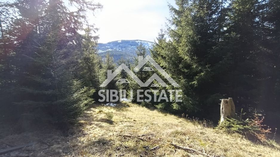 Teren de vânzare în zona montană a județului Alba - Poză 3