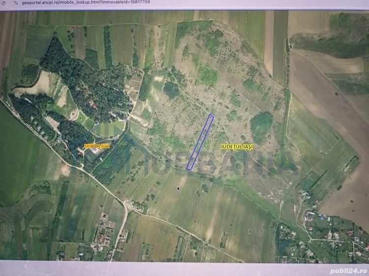 Teren extravilan de vânzare în Miroslava, sat Proselnici - Poză 1