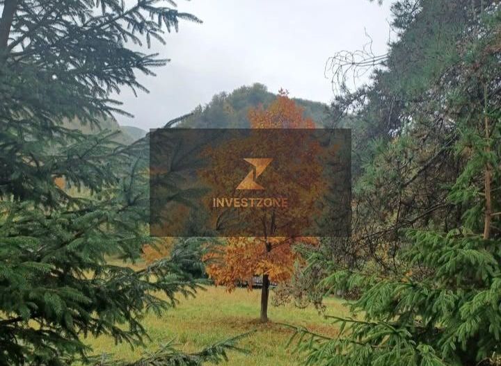 Teren de vis de vanzare in Remeti-Bihor-27p0 mp - Poză 8