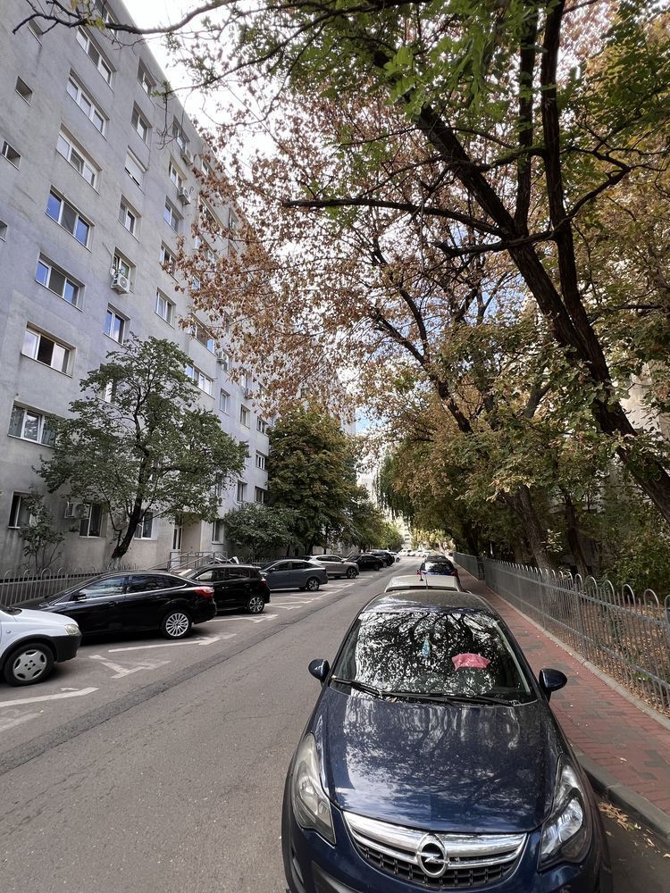 Apartament 3 camere zona Fizicienilor - Camil Ressu - Poză 8