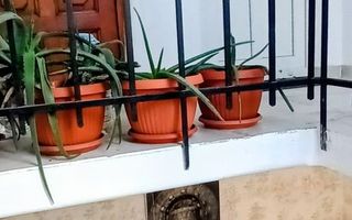Comision 0 | Apartament 2 camere cu Grădină | Floreasca | Birou - Poză 7