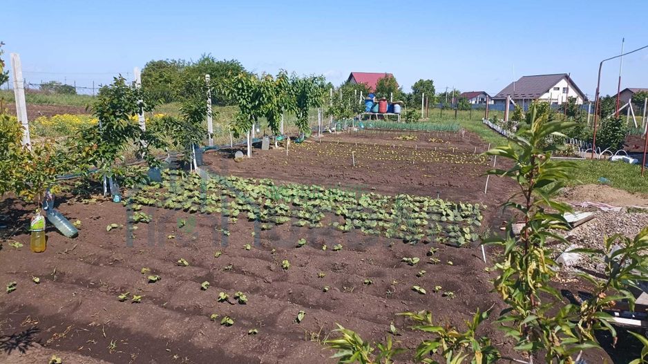 Teren intravilan 470 mp – Horlești, Comuna Rediu, județul Iași - Poză 3