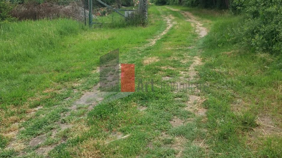 Teren Buftea cu iesire la lac - Poză 2