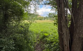 Teren plat-intravilan -3800 mp, cu pădurice și ieșire la râu! - Poză 28
