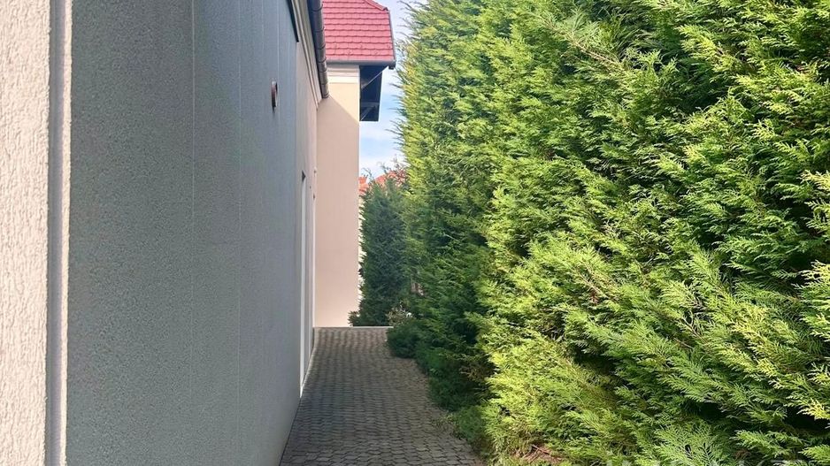 Vila exclusivista de inchiriat 185 mp, terasa si gradina – A.Muresan - Poză 4