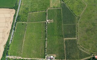 Vie Tradițională „Halta Lupilor” - Poză 39