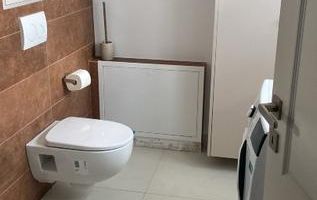 Vilă Premium Bucureștii Noi/Renovată Integral/Fotovoltaice/ - Poză 4