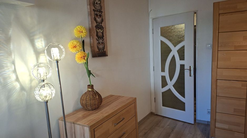 Apartament cu o camera 27 mp etaj 1 - Ultracentral - Piața Ștefan cel Mare - Poză 3