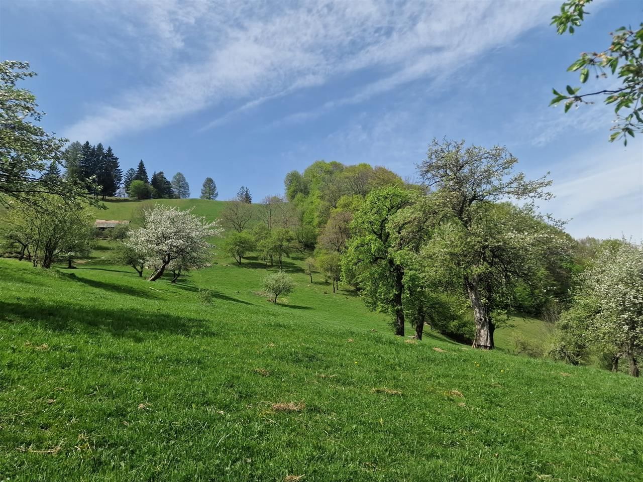 Langa emblematicul Castelul Bran, in areal colinar, 5.700mp intravilan - Poză 5