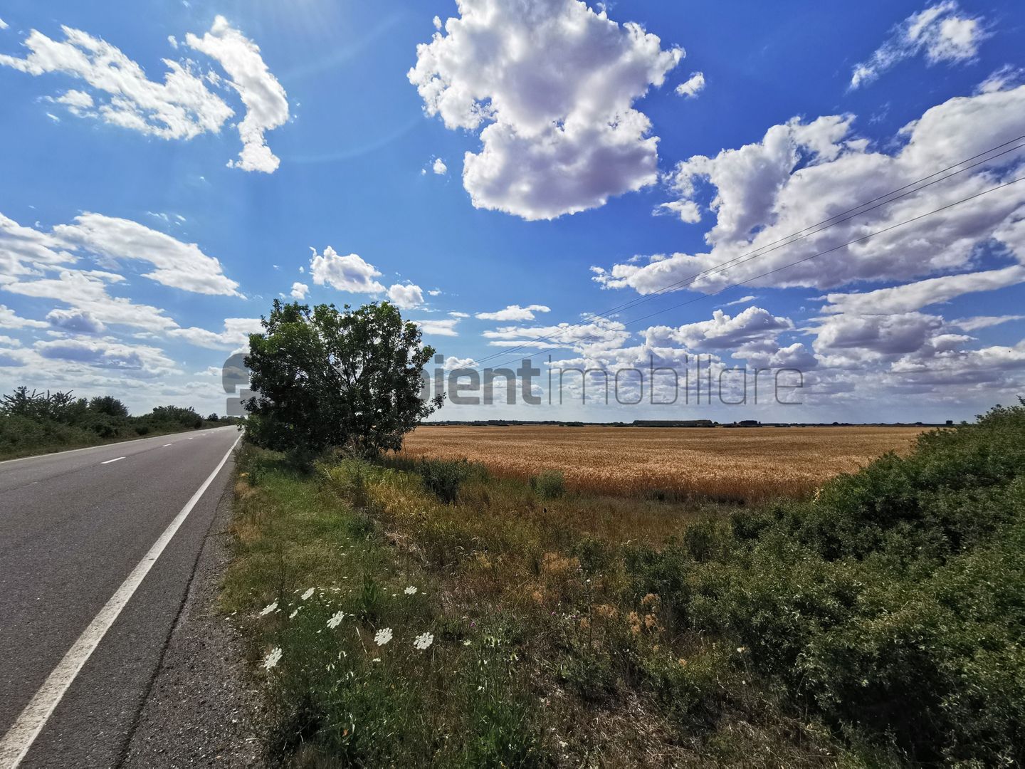 De vânzare teren extravilan, 11,600 mp, Salonta - Poză 7