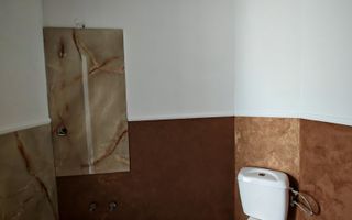 Corp de casa P+M 4 camere , ASTRA - Carpatilor -LIDL- ,curte comuna. - Poză 32