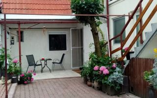 Casă Rezidențială și Spațiu Profesional - Poză 1