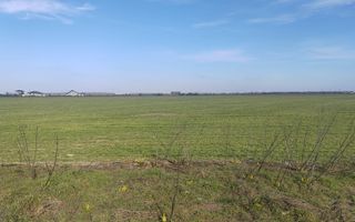 Cernica Tanganu super pret rezidential sau depozitare - Poză 5