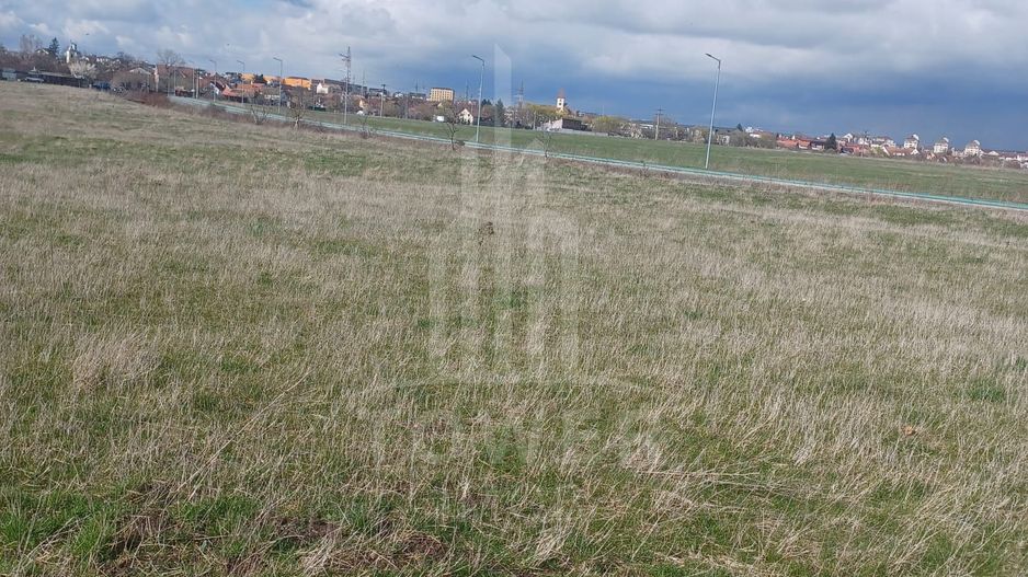 Teren intravilan 7.700 mp de vânzare | Zona Câmpșor - Poză 3