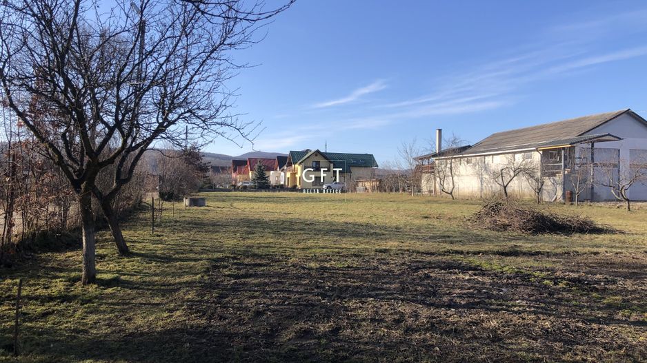 EXCLUSIVITATE! CASA+4300 MP TEREN DE VANZARE. - Poză 7