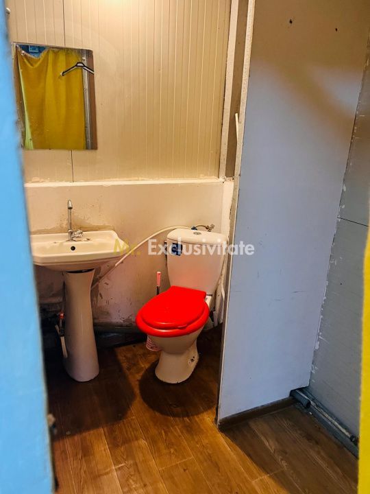 Spatiu comercial stradal, pozitie strategica – N. Balcescu, zona Piata Centrala - Poză 16