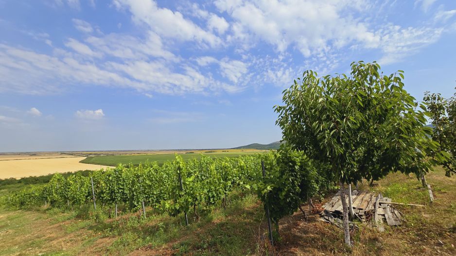 Vie Tradițională „Halta Lupilor” - Poză 21