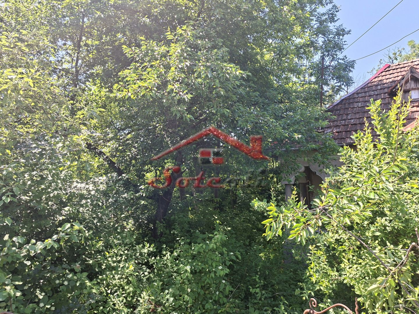 Teren generos în Cornu de Jos – 3.470 mp, deschidere 36,88 ml - Poză 5