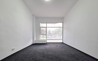 FALEZA NORD – 192 MP UTILI, IDEAL MAGAZIN, BIROURI, CABINETE MEDICALE - Poză 11