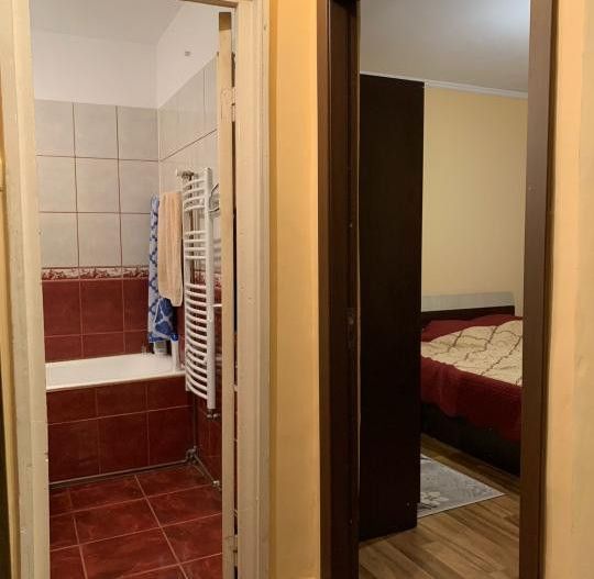 Vanzare Apartament Craiovei - Poză 12