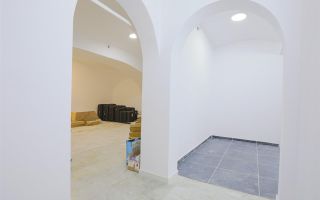 Sub mantia arhitecturala istorica a Cetatii Timisoarei, Spatiu comercial - Poză 4