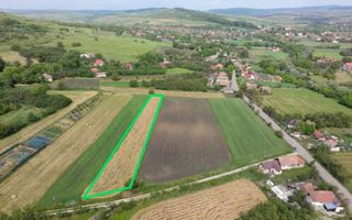 Teren Intravilan 1.439 mp Borșa, Cluj – Ideal Casă sau Cabană - Poză 4