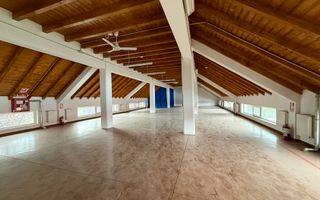 Spatii comerciale pentru activitati diverse - Dumbravita, central - Poză 3