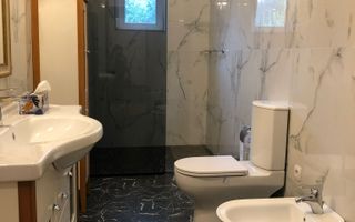 Vila deosebita 11 camere Erou Iancu Nicolae - Poză 18