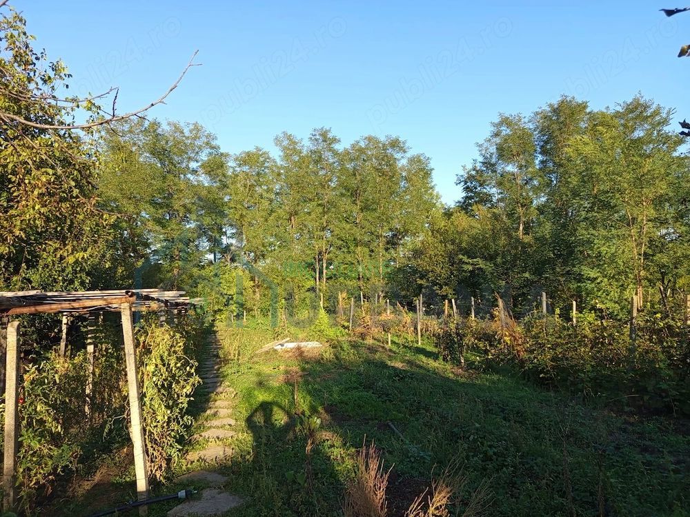 Casă de vânzare în Târgu Frumos, cu anexe și teren generos - Poză 2