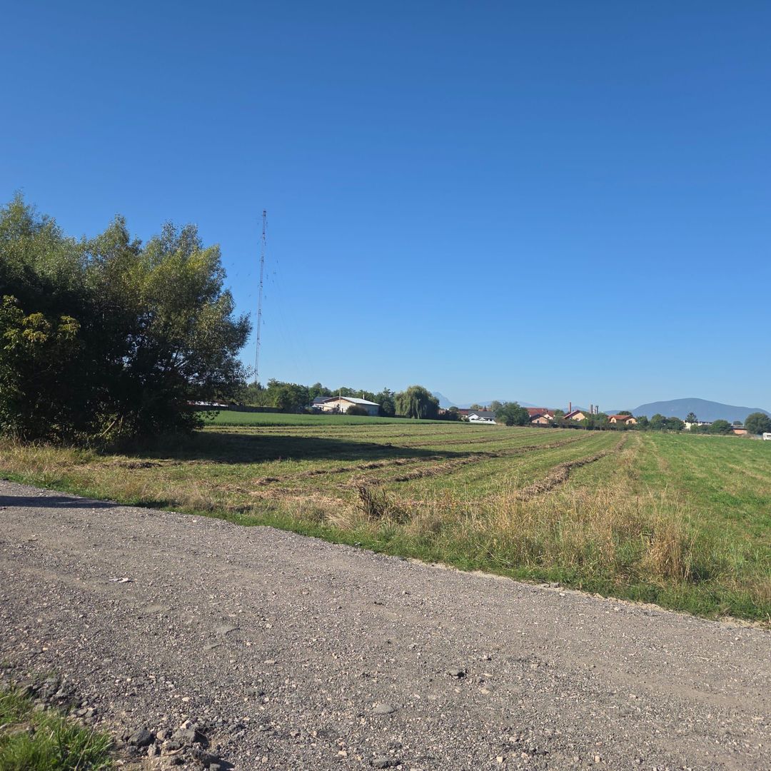 Teren Bod Colonie,strada Lalelelor - Poză 2