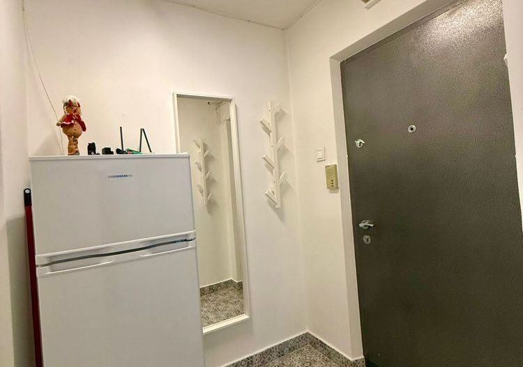 De Inchiriat – Apartament 2 Camere Piața Progresul, Acces Rapid Metrou - Poză 6