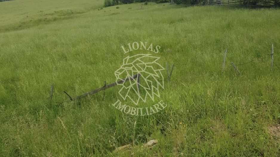 Teren 2,3ha si Padure 1ha-zona deosebita-Pasul Tihuta-EXCLUSIV - Poză 6